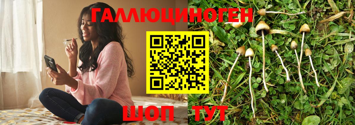 Галлюциногенные грибы GOLDEN TEACHER Знаменск